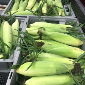 Sweet Corn | Stonehill Farms MN | Browerville, MN