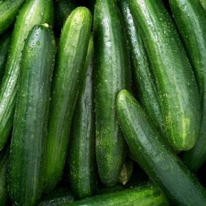 Stonehill Farms MN | Cucumbers | Browerville, MN