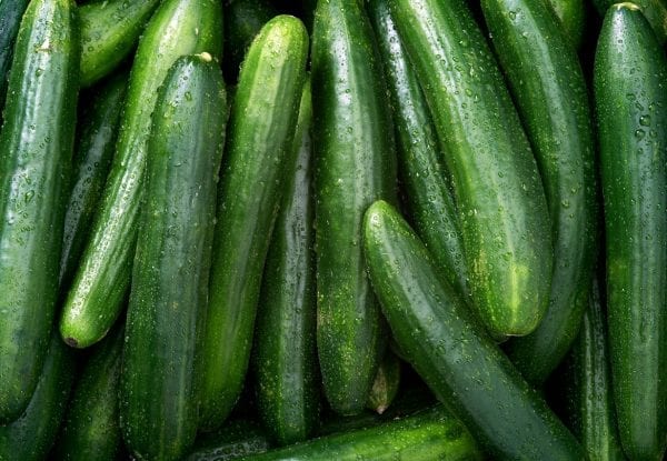 Stonehill Farms MN | Cucumbers | Browerville, MN